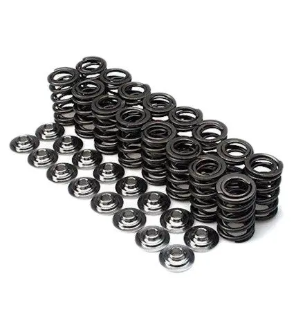 Brian Crower Dual Spring Set W/ Titanium Retainers - Ej Engines 1