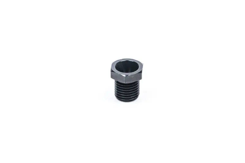 Radium Engineering Fpr Black Orifice - .100In 1