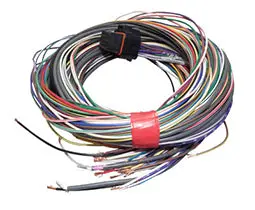 Link Ecu B Loom Medium For Use W/ Link G4, G4+ And G4x Ecus 1