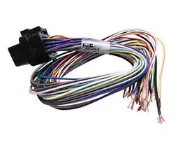 Link Ecu B Loom Short For Use W/ Link G4, G4+ And G4x Ecus 1