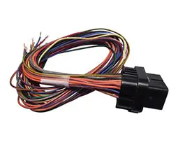 Link Ecu A Loom Short For Use W/ Link G4, G4+ And G4x Ecus 1